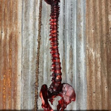 Bloody Spine prop